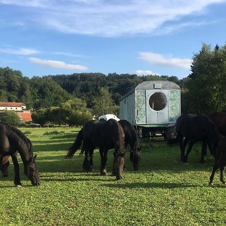 Hotel Glamping MARINGOTKA - malebný ladův kraj Stribrna Skalice Exteriér fotografie