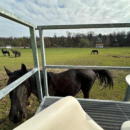 Hotel Glamping MARINGOTKA - malebný ladův kraj Stribrna Skalice Exteriér fotografie
