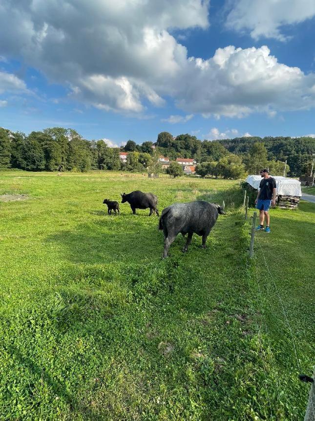 Hotel Glamping MARINGOTKA - malebný ladův kraj Stribrna Skalice Exteriér fotografie