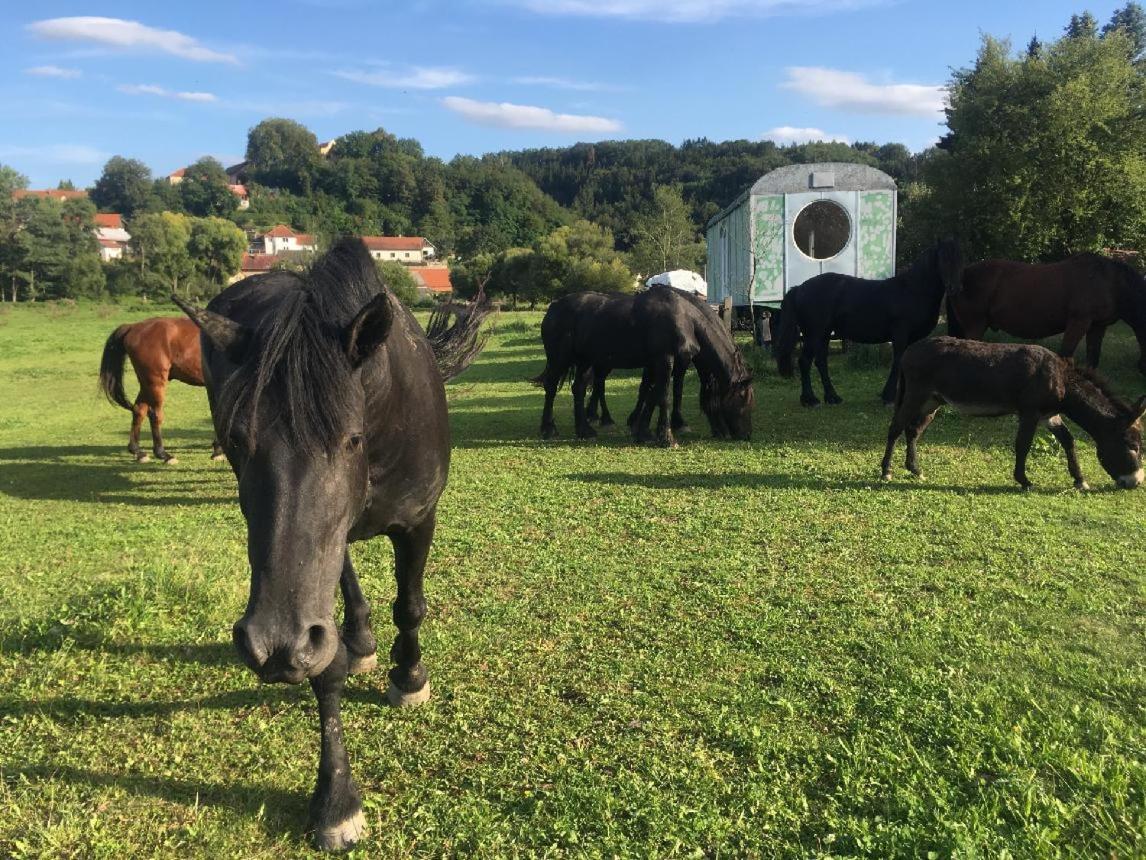 Hotel Glamping MARINGOTKA - malebný ladův kraj Stribrna Skalice Exteriér fotografie