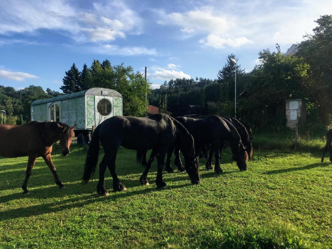 Hotel Glamping MARINGOTKA - malebný ladův kraj Stribrna Skalice Exteriér fotografie