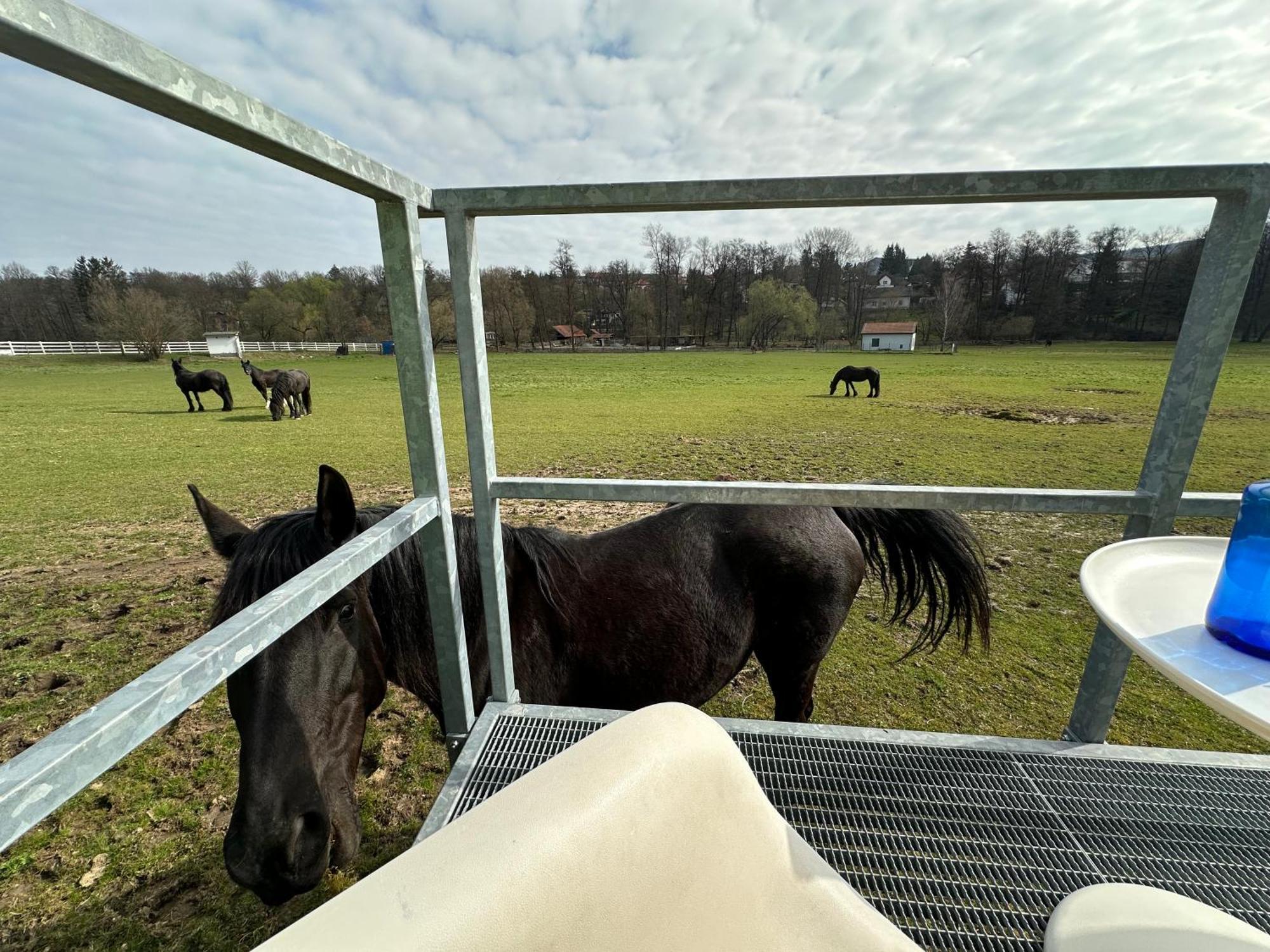 Hotel Glamping MARINGOTKA - malebný ladův kraj Stribrna Skalice Exteriér fotografie